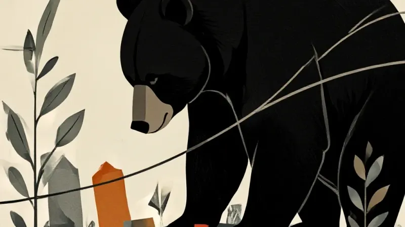 Gatlinburg: Celebrity Bear Death Sparks Wildlife