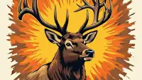 Great Smoky Mountains: Elk Rut Safety Warnings & Visitor